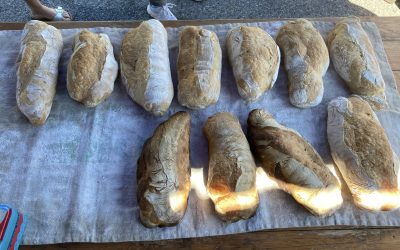 Retour sur le Pique-Nique des Familles 2022